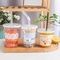 FDA 24 tazze di plastica di Oz con il coperchio per le tazze dure eliminabili della bevanda del caffè del tè pp del latte del yogurt
