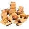 Stampa di Flexo all'ingrosso la scatola di consegna dell'alimento del contenitore di carta dei sushi con il coperchio